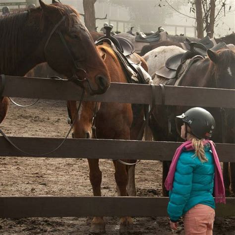 Image result for Beginner First Riding Lesson