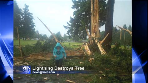 Image result for Tree Explosion