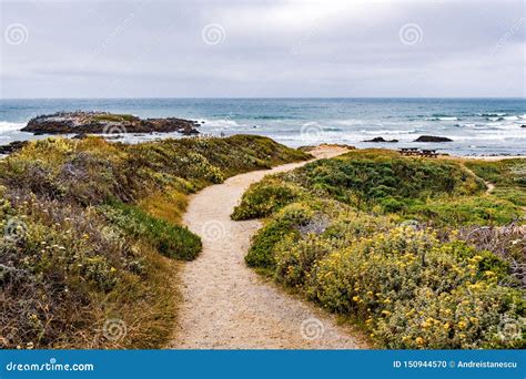 Walking Path on the Pacific Ocean Coastline, Pescadero State Beach ...