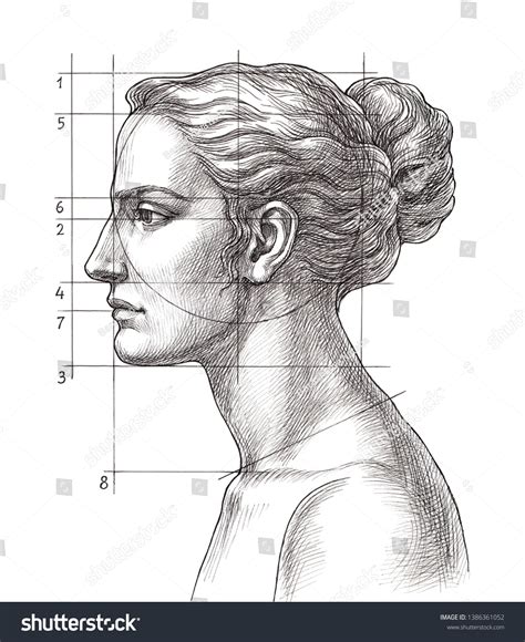 Image result for Face Proportion Drawing Lesson