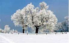 Wallpaper Wallpaper Winter by Wallpapers Winter Wallpapers Wallpaper Wallpaper Winter