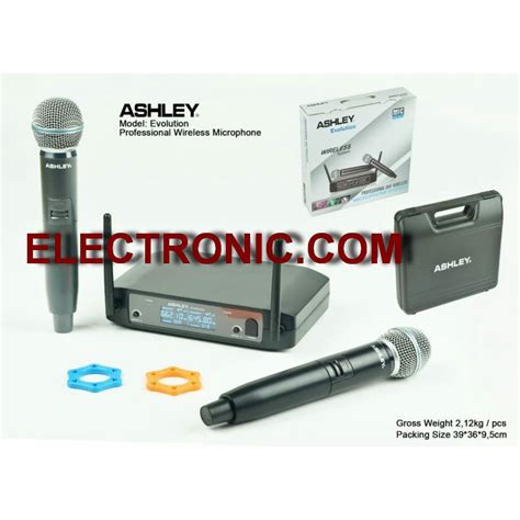 Image result for Ashley Evolution Prodigy