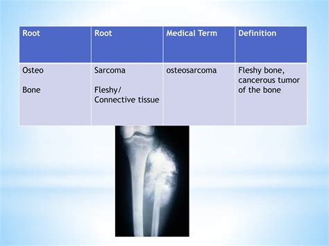 Medical Terminology root prefixes sufixes.pptx