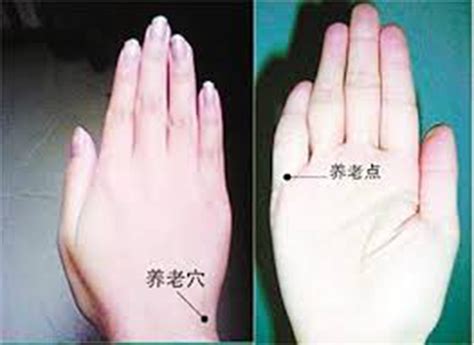 手穴位圖下載|手穴位圖設計|手穴位圖香港|圖片 - 淘寶海外