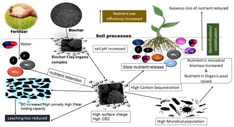 Sustainable Approach and Safe Use of Biochar and Its Possible Consequences