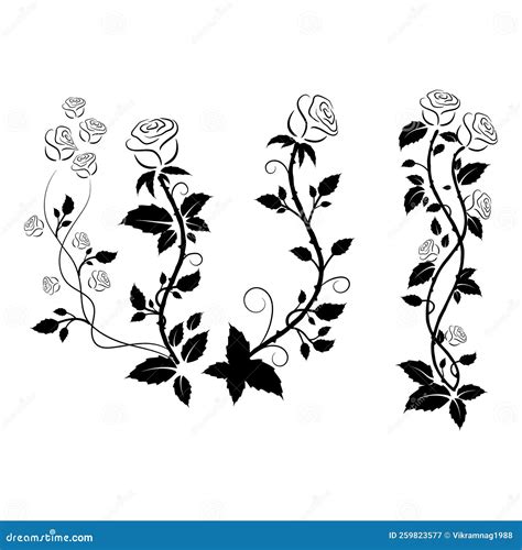 Rose Vine Drawing Tattoo Beautiful Roses Stock Illustrations