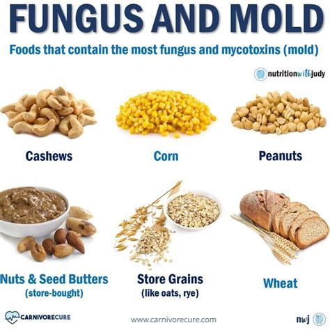 Microblog: Fungus and Mold - Nutrition With Judy