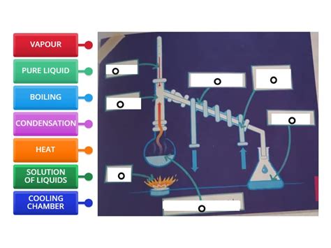 Distillation 的图像结果