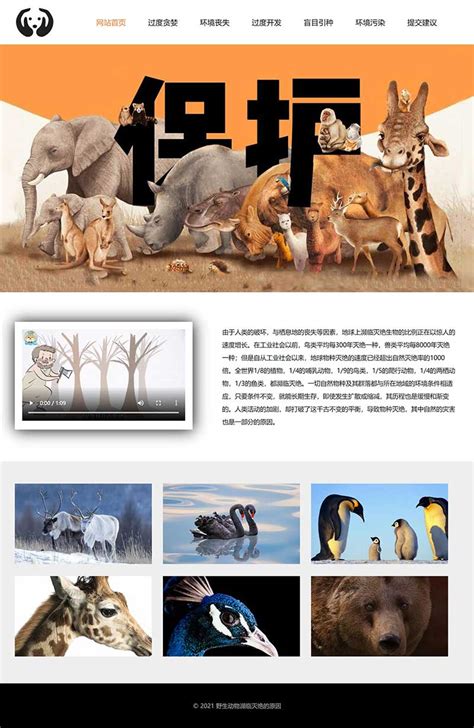 保护动物网页制作成品 动物保护网页模板作业 学生动物灭绝原因网站代码 - STU网页作业