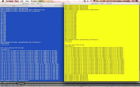 Java CSV Read Array 的图像结果