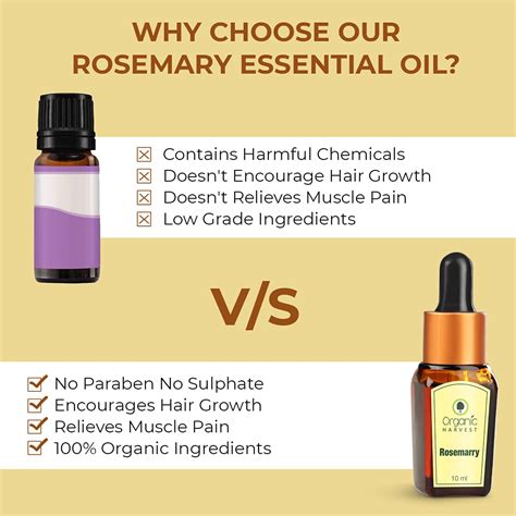 Rosemary Essential Oil For All Skin Types Results in Reducing Acne, Da