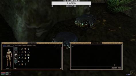 Image result for How to Install Morrowind Script Extender