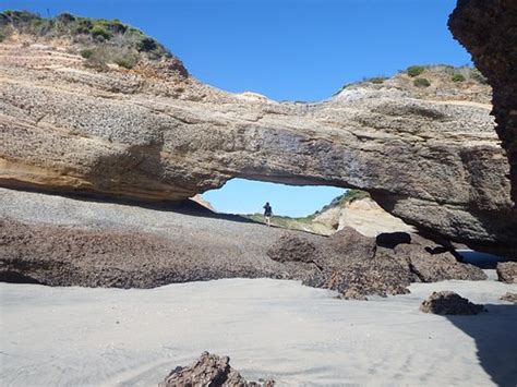 FAREWELL GARDENS MOTOR CAMP AND HOLIDAY ACCOMMODATION (Puponga ...