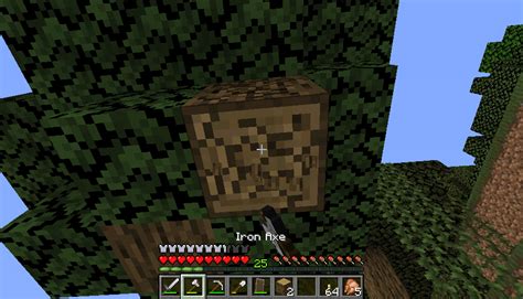 How to Hide Particles in Minecraft 的图像结果