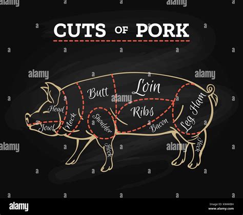 Pig butcher chalkboard scheme. Pork meat cut parts hand drawn diagram ...