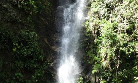 Yurimaguas Tourism (2024): Best of Yurimaguas, Peru - Tripadvisor