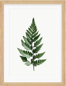 Colossal Art House Modern Art Framed Poster Portrait For Home ...