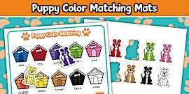 Color Matching With Photos Worksheet