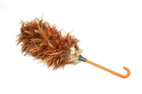 Using Feather Duster 的图像结果