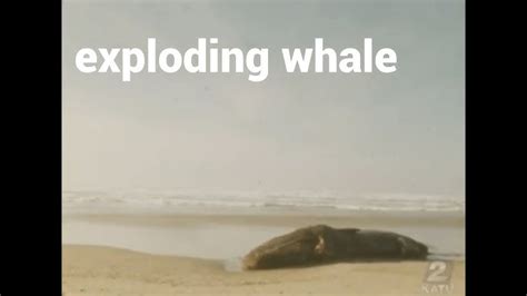 Image result for Exploding Whale Meme