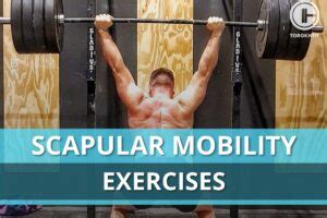 Image result for Multifidus Exercises