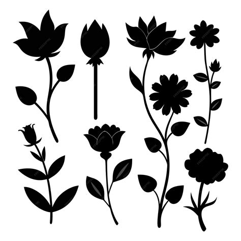 Silhouette Of Flowers