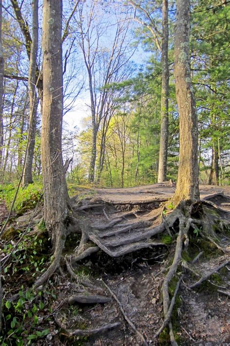 Ipswich River Park - 15 Central St, North Reading, MA 01864 - Hours ...