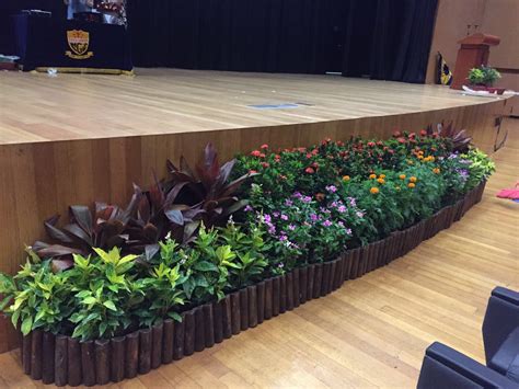 Skyland Gardening » Blog Archive » Event Plants - Stage Deco