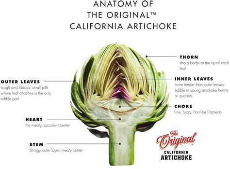 Products – Scattini Family Farms