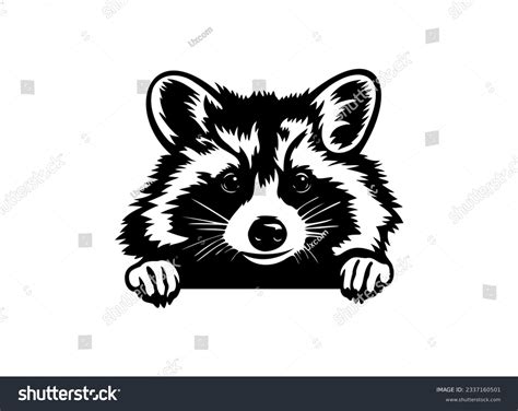 Image result for How to Use Jpg Image to Plot Graph in Matplotlib