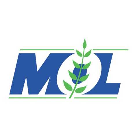 Meghmani Share Price Today - Meghmani Organics Limited. Stock Price ...