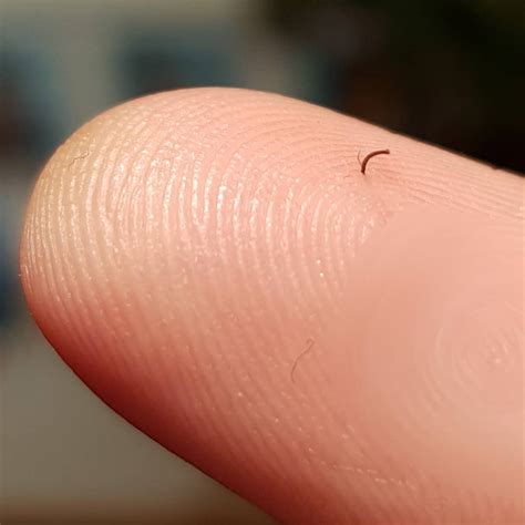 Splinter Finger 的图像结果