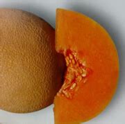 Indo Multi Trade Link LLP