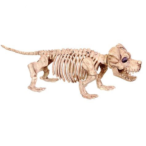 Buy Realistic Dog Skeleton Model, 3D Animal Sculpture Resin Crafts ...