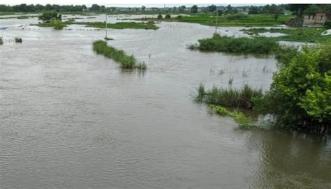 Bihar: Heavy Downpour Wreaks Havoc on Kharif Crop, Threat of Flood in ...