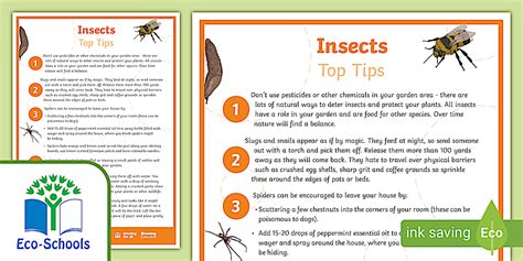 FREE! - Eco-Schools NI: Top Tips on Insects (teacher made)