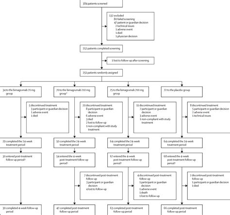 Elderly Broken Hip Recovery Time