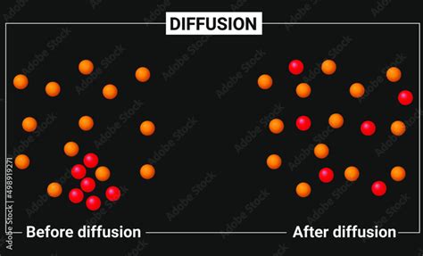 Image result for Diffusion Particle Animation