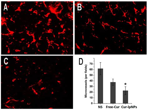 Discovery and in Vivo Evaluation of Novel RGD-Modified Lipid-Polymer ...