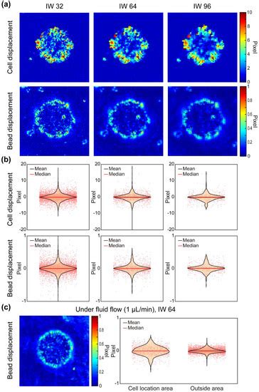 Study on the Expansion Dynamics of MDCK Epithelium by Interstitial Flow ...