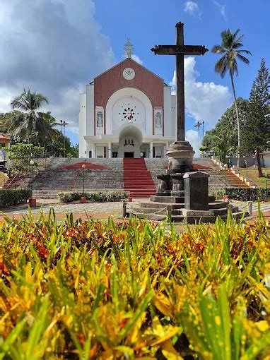 St. Thomas Syro-Malabar Catholic Cathedral, Palai - HiKerala.in