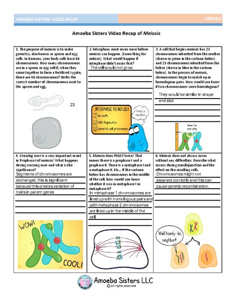 EC 3-1 - Amoeba sisters - Amoeba Sisters Video Recap: DNA Replication ...