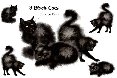 Black Cat Clip Art Black And White