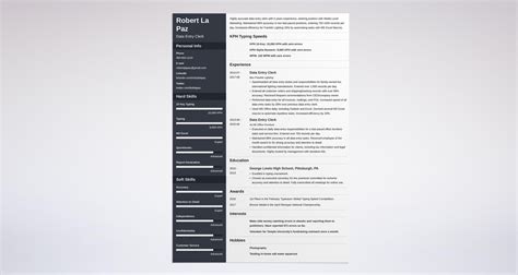 Data Entry Resume: Examples & Templates