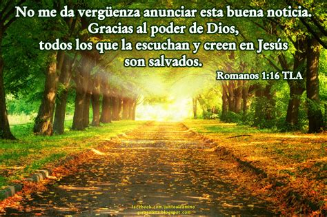 Junto al Camino: julio 2013