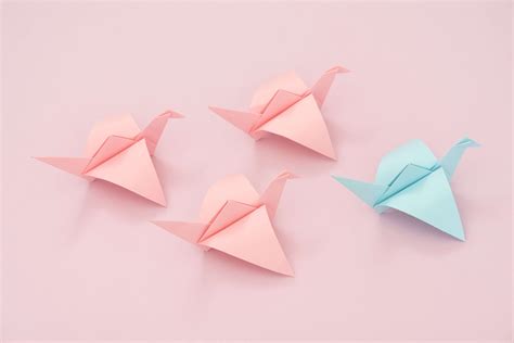 The Complete Guide to Selection Bias | Prolific