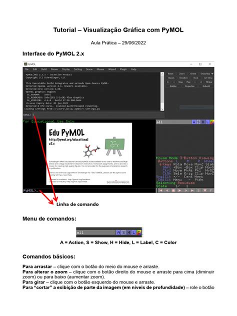 Image result for PyMOL Demo