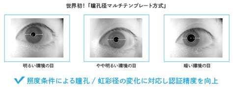Image result for DataTable Template Example