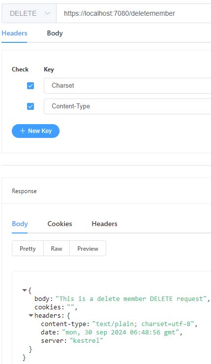 Minimal API Tutorial 的图像结果